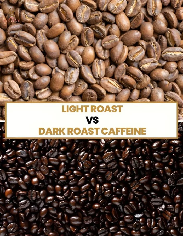 Dark Roast vs Light Roast Coffee 