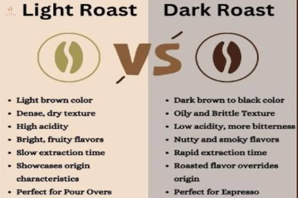 Dark Roast vs Light Roast Coffee