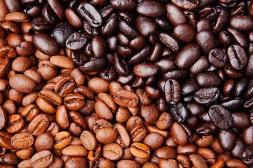 Dark Roast vs Light Roast Coffee