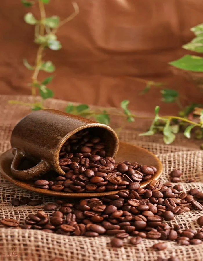 Natural Coffee Beans 