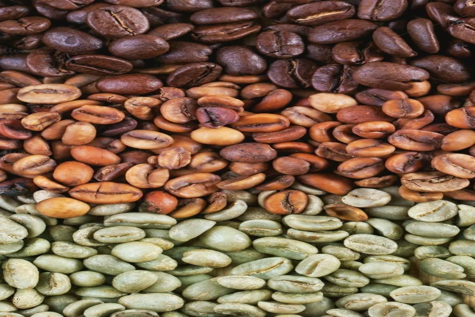 Natural Coffee Beans